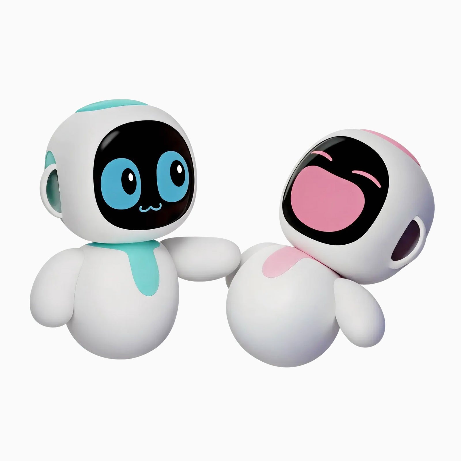 Interactive Companion Robots