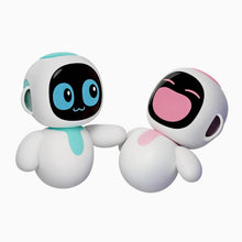 Interactive Companion Robots